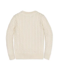 Hope & Henry Boys Organic Long Sleeve V-Neck Cable Sweater