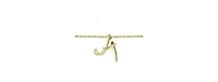 GiGiGirl Stylish 14K Gold Plated Initial Necklace.