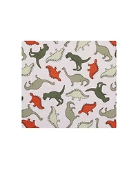 Hudson Baby Cotton Flannel Receiving Blankets 4-Pack