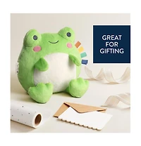 Itzy Ritzy Baby Sweetie Snuggles Frog