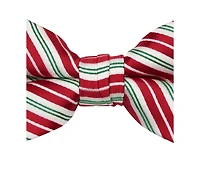 Hallmark Holiday Traditions Men's Candy Cane Slim Bow Tie