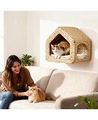 PawHut Wall Mounted Cat House, Cat Wall Furniture with Washable Cushion