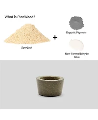 Plantoys| Charcuterie Board