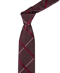 Calvin Klein Men's Isabella Grid Tie