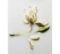 Kilian Paris Good Girl Gone Bad Body Lotion, 8.5 oz.