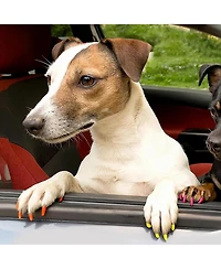 Htutwoo 24PCS Pet Safe Nail Polish Set, Acrylic Paint Markers, Creative Dog Accessories Suitable for Puppies, Piglets, Cats