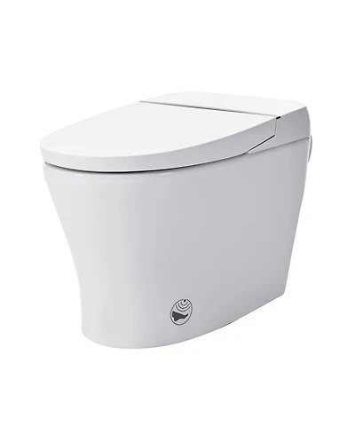 Casainc Heated Seat Dual Flush Smart Bathroom Fixture With Night Light, Foot Sensor Flush, Blackout Flush