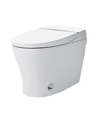 Casainc Heated Seat Dual Flush Smart Bathroom Fixture With Night Light, Foot Sensor Flush, Blackout Flush