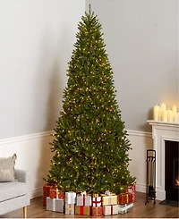 National Tree 9' Dunhill Fir Tree with 900 Clear Lights and PowerConnect