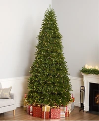 National Tree 10' Dunhill Fir Hinged Tree with 1200 Low Voltage Dual Led Lights with 9 Function Footswitch