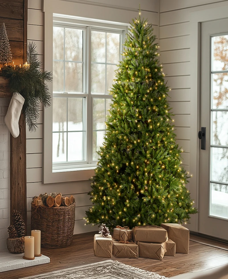 National Tree Company 9' Dunhill Fir Full-Bodied & Hinged Tree With 900 Clear Lights