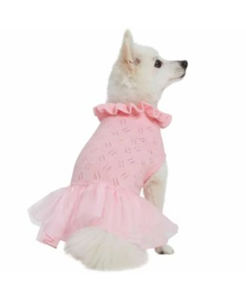 Blueberry Pet My Cutie Princess Ruffle Collar with Layered Tulle Dog Sweater Dress