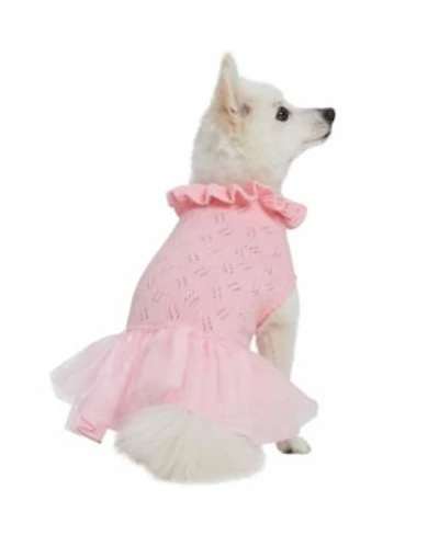 Blueberry Pet My Cutie Princess Ruffle Collar with Layered Tulle Dog Sweater Dress