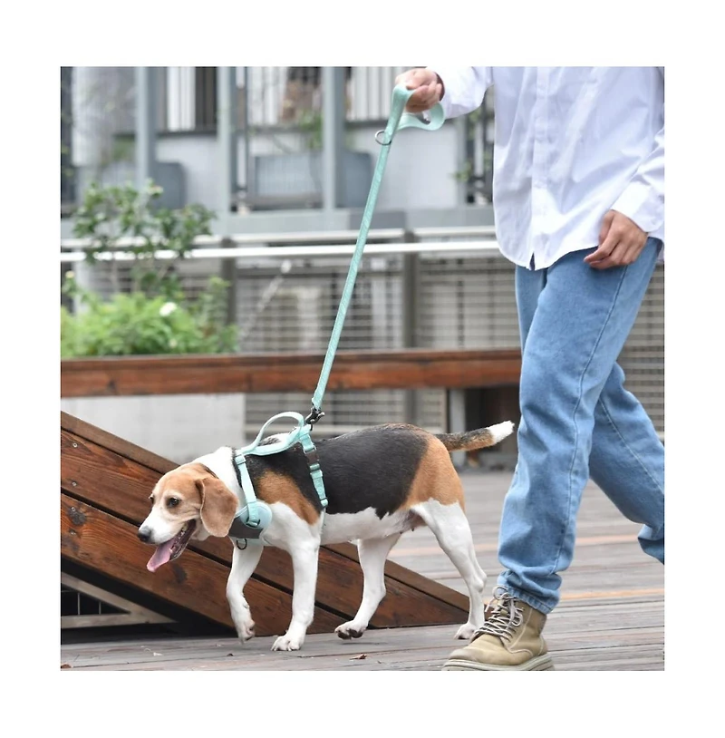 Petmarvel Adjustable 4 Ft Stylish Embroidered Dog Leash