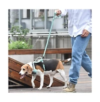 Petmarvel Adjustable 4 Ft Stylish Embroidered Dog Leash