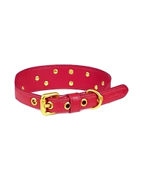 Blueberry Pet Silver-Powered Freshness Microfiber Suede Dog Collar – Embossed Classic Pattern with Bronze Studs