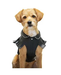 Blueberry Pet Silver-Powered Freshness Microfiber Leather Dog Harness Jacket