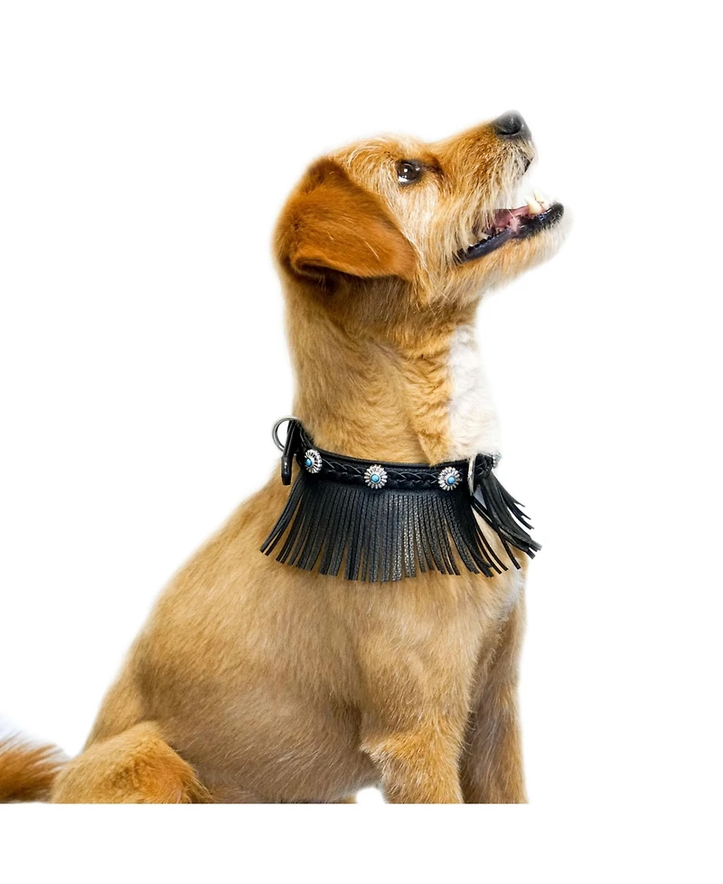 Blueberry Pet Silver-Powered Freshness Microfiber Suede Dog Collar in Midnight Black– Fringed Style with Turquoise Studs