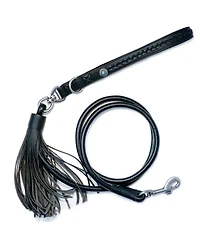 Blueberry Pet Silver-Powered Freshness Microfiber Suede Dog Leash Camel Tan– Fringed Style with Turquoise Studs