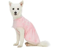 Blueberry Pet Breton Stripe Dog Dress