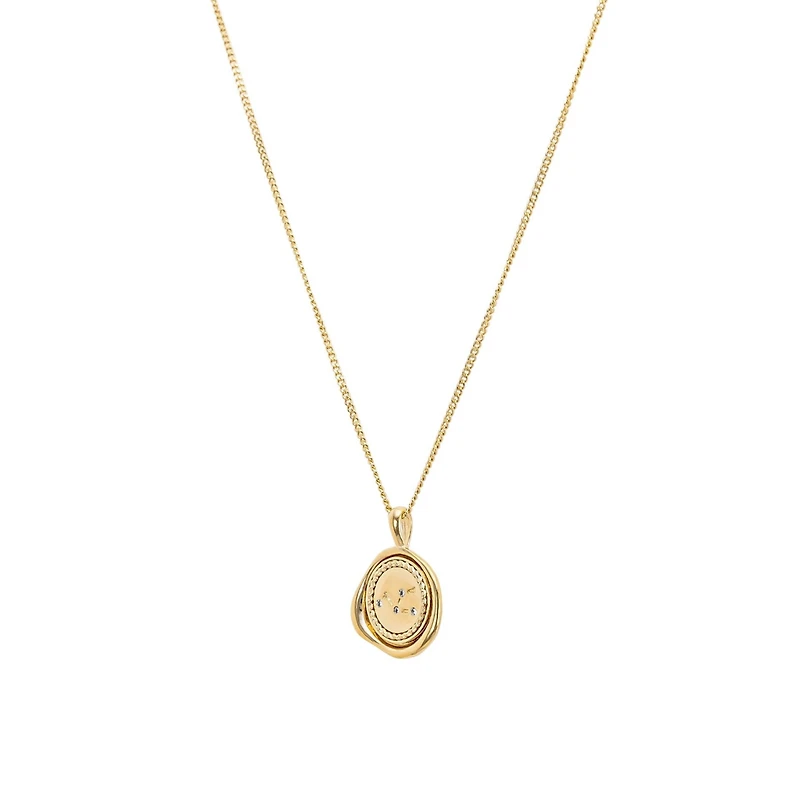 Seal Constellation Necklace 12 Zodiac Signs Personalized Gift for Her