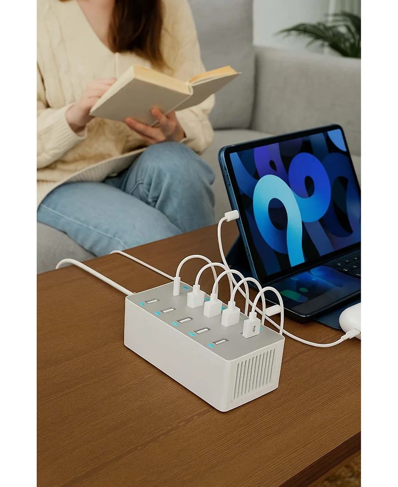 3p Experts 10 Ports Usb Hub