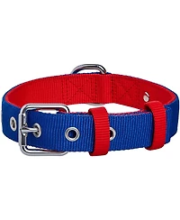 Blueberry Pet Color-Block with Metal Buckle Dog Collar Sky Blue and Dark Green Neck 13"-16.5" Medium