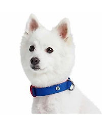 Blueberry Pet Color-Block with Metal Buckle Dog Collar Sky Blue and Dark Green Neck 13"-16.5" Medium