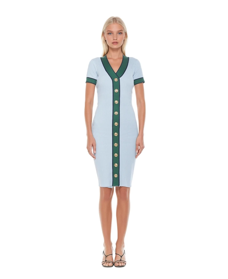 Alexia Admor Women's Otto V Neck Ribbed Knit Dress