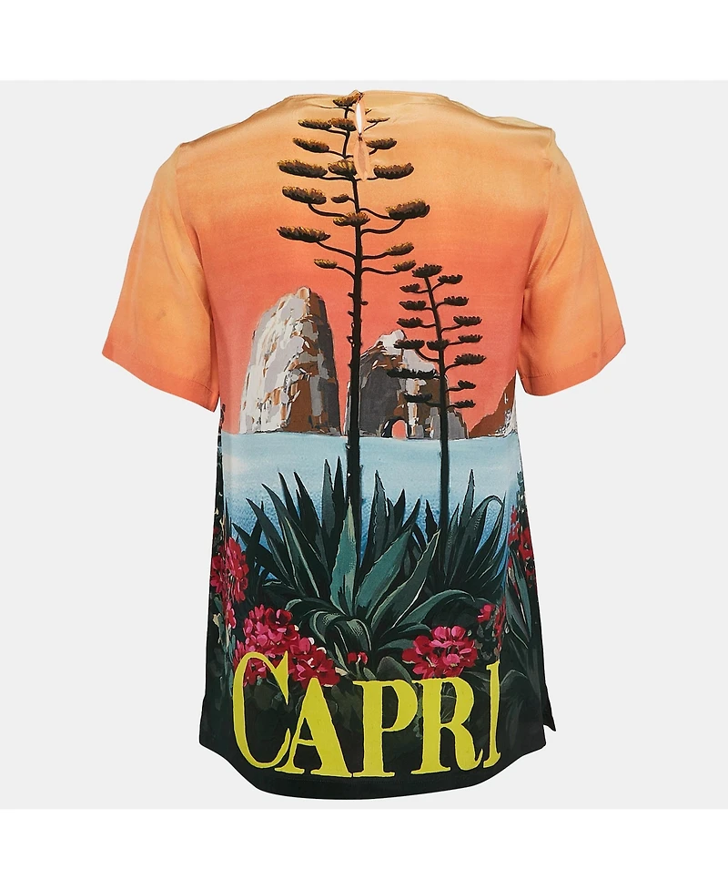 Pre-Owned Dolce & Gabbana Women's Multicolor Capri Print Silk Top