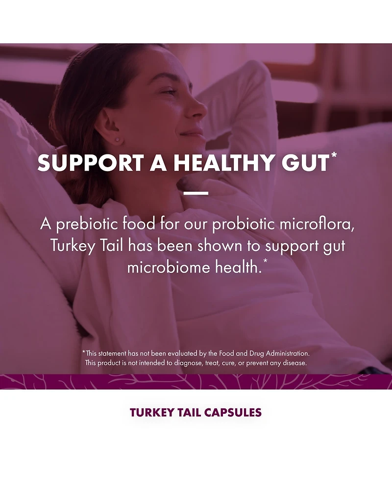 Host Defense Lion's Mane (120 ct) & Turkey Tail (120 ct)