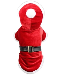Parisian Pet Santa Claus Hoodie