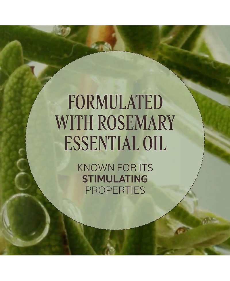 L'Occitane Volume & Strength Leave-In Detangling Mist 4.20 fl oz