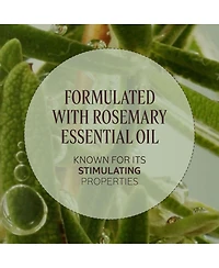 L'Occitane Volume & Strength Leave-In Detangling Mist 4.20 fl oz