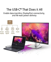 Asus 9B24-281-259 32 in. ProArt Display Professional Monitor