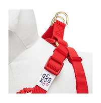 Dogs & Cats Co. Spring Floral Dog Harness with Chest Protection Panel