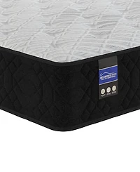 Spring Air Amelia 12" Hybrid Plush Tight Top Mattress, Queen