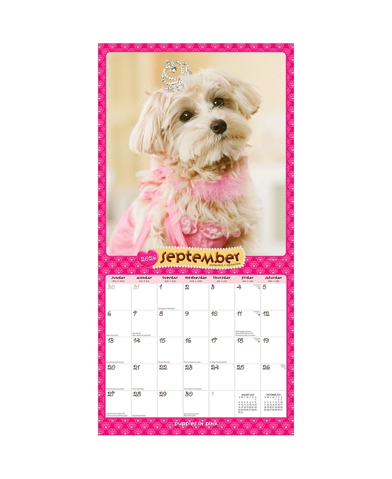 BrownTrout Puppies in Pink | 2026 12 x 24 Inch (Hanging) Monthly Square Wall Calendar | Plastic-Free