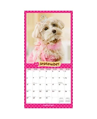 BrownTrout Puppies in Pink | 2026 12 x 24 Inch (Hanging) Monthly Square Wall Calendar | Plastic-Free