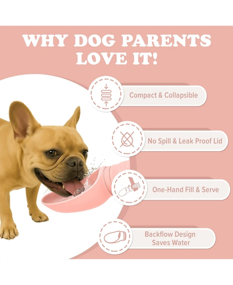 Puppington Collapsible Dog Water Bottle