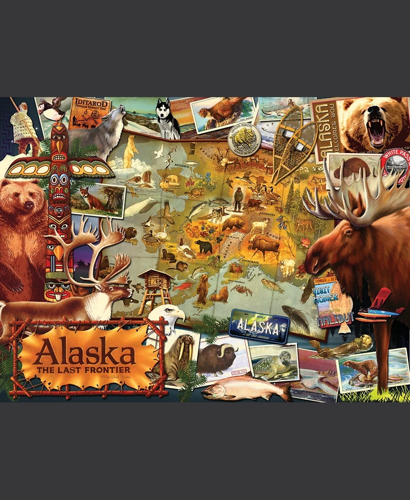 SunsOut Alaska, the Final Frontier 1000 piece Jigsaw Puzzle for Adults