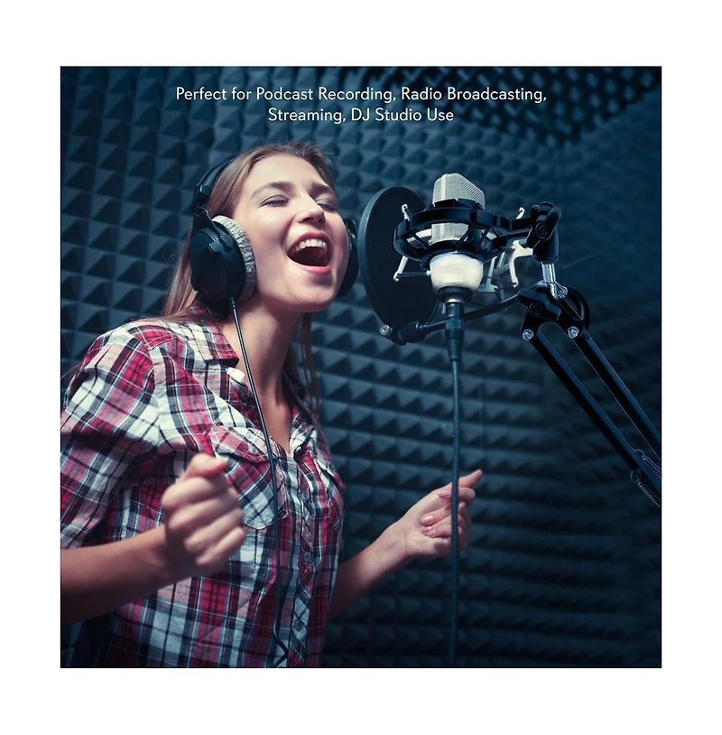 Pyle Adjustable Boom Arm Microphone Stand with Shock Mount PMKSH01