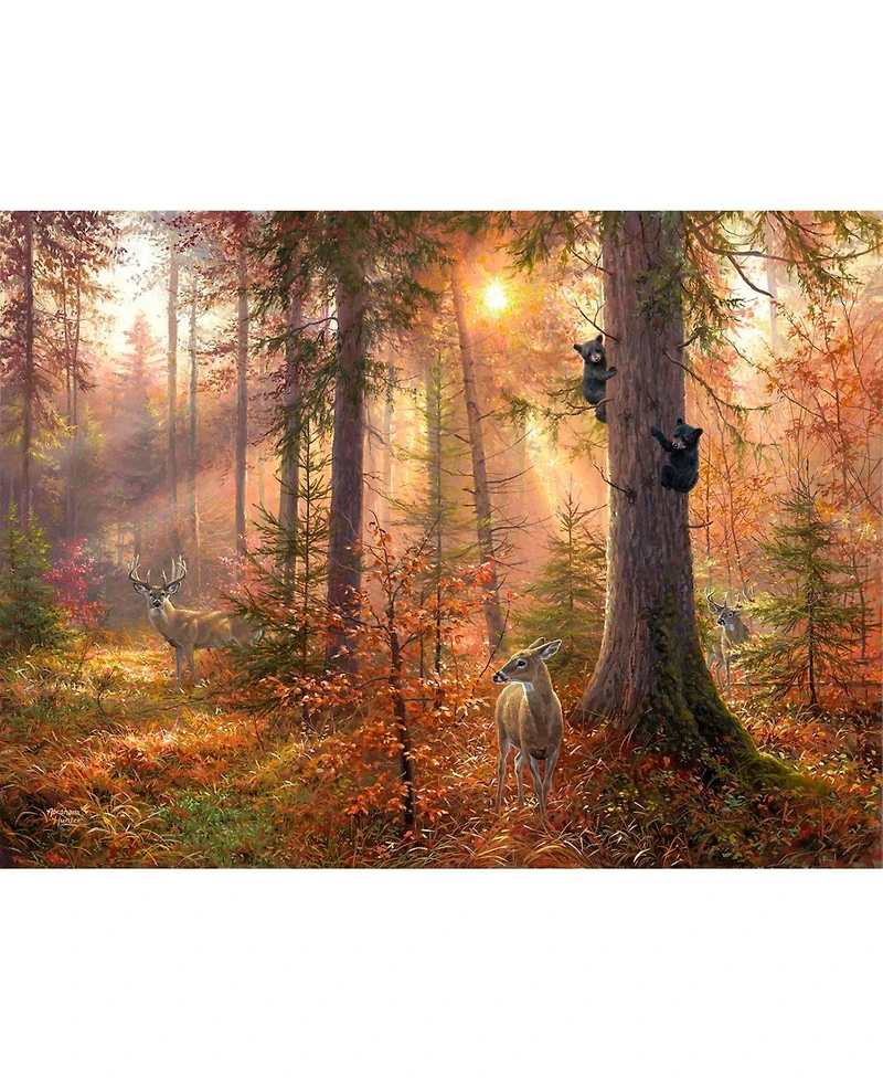 SunsOut Forest Light 300 piece Jigsaw Puzzle for Adults