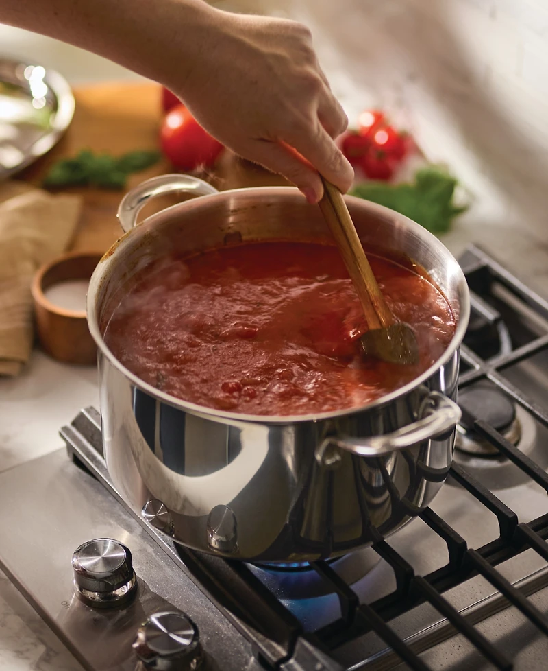 Anolon EverLast Stainless Steel 10.75" Tri-Ply Clad Stockpot