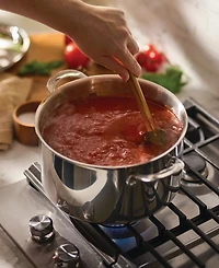 Anolon EverLast Stainless Steel 10.75" Tri-Ply Clad Stockpot