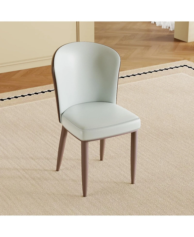 Streamdale Furniture Modern Dining Chairs, Carbon Steel Legs (Set of 2)