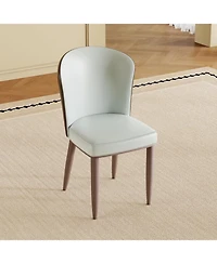 Streamdale Furniture Modern Dining Chairs, Carbon Steel Legs (Set of 2)