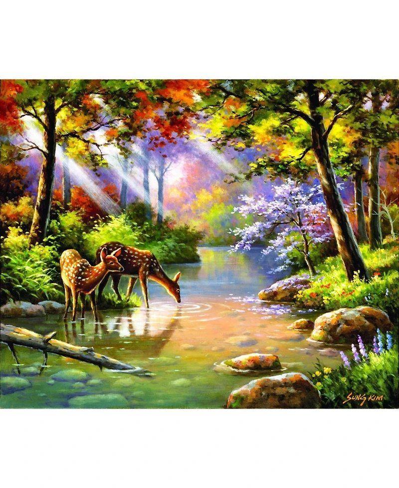 SunsOut Doe Re Me Creek 1000 piece Jigsaw Puzzle for Adults