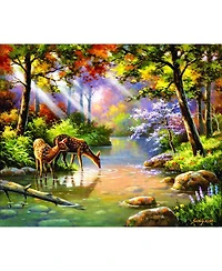 SunsOut Doe Re Me Creek 1000 piece Jigsaw Puzzle for Adults