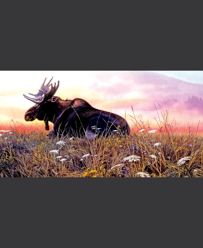 SunsOut Daybreak Moose 500 piece Jigsaw Puzzle for Adults